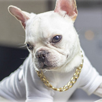 Κοσμήματα σκύλων από ανοξείδωτο ατσάλι Χρυσή αλυσίδα για κολάρο σκύλου Πολυτελής ανθεκτική εκπαίδευση P αλυσίδα για μεγάλα σκυλιά Doberman Pitbull Rottweiler