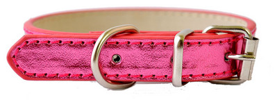 6 Χρώματα Pu Δερμάτινο Κολάρο Σκύλου Προμήθειες κατοικίδιων για μικρά σκυλιά Ρυθμιζόμενη πόρπη για κατοικίδιο κουτάβι σκύλος κολάρο γάτας Μέγεθος XS SM