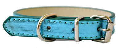 6 Χρώματα Pu Δερμάτινο Κολάρο Σκύλου Προμήθειες κατοικίδιων για μικρά σκυλιά Ρυθμιζόμενη πόρπη για κατοικίδιο κουτάβι σκύλος κολάρο γάτας Μέγεθος XS SM