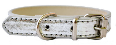 6 Χρώματα Pu Δερμάτινο Κολάρο Σκύλου Προμήθειες κατοικίδιων για μικρά σκυλιά Ρυθμιζόμενη πόρπη για κατοικίδιο κουτάβι σκύλος κολάρο γάτας Μέγεθος XS SM