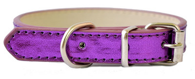 6 Χρώματα Pu Δερμάτινο Κολάρο Σκύλου Προμήθειες κατοικίδιων για μικρά σκυλιά Ρυθμιζόμενη πόρπη για κατοικίδιο κουτάβι σκύλος κολάρο γάτας Μέγεθος XS SM