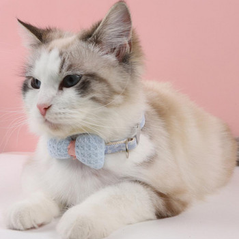 Γιακάς γάτας Παπιγιόν γιακά γιακά Φιόγκος Κόμπος Σχεδιασμός Άνετη αφή Ρυθμιζόμενη για το σπίτι