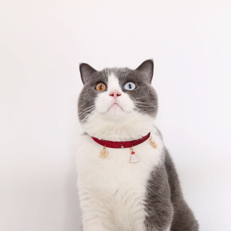 Κολιέ SM Velvet Bronzing Star Ρυθμιζόμενο Κολιέ για γάτες Κουτάβι Ψαροκόκαλο/Νιφάδα Χιονιού/Κάλαρο Starry Sky Κομψά κατοικίδια Αξεσουάρ