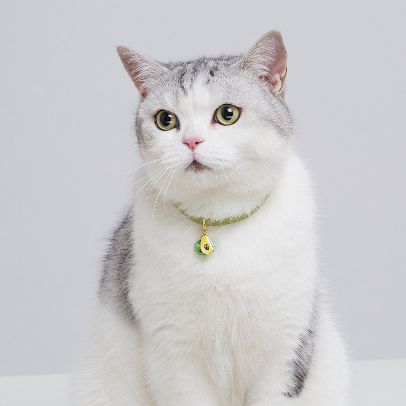 Badu.bg Котешка яка Масивна украса за котешка шия Малка котка Бижута ...