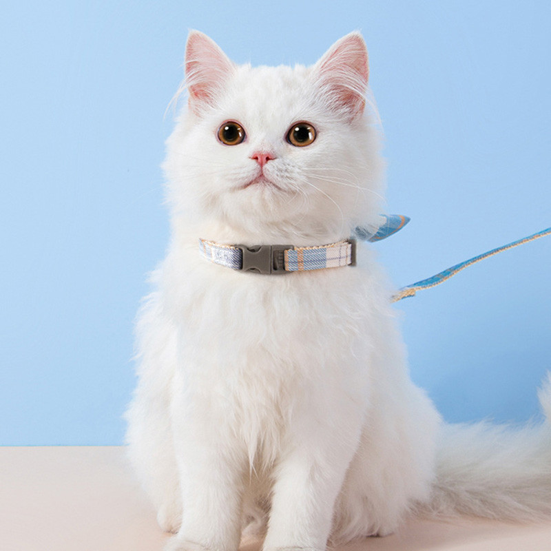 Vööri kassi koera kaelarihm Armsad lemmikloomade rakmed rinnarihmaga Tõmbeköis Kassiriided Rakmed Vest Printsessi kutsika kassipoegade tarvikud