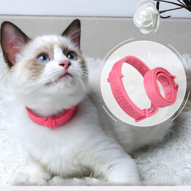 Κολάρο γάτας σκύλων κατοικίδιων ζώων Εντομοκτόνο κουνουπιών κατά των ακάρεων ψύλλων Ρυθμιζόμενο κολάρο κατοικίδιων σε εξωτερικό χώρο Αξεσουάρ γάτας Μακροχρόνια προστασία