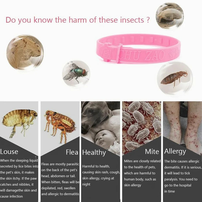 Κολάρο γάτας σκύλων κατοικίδιων ζώων Εντομοκτόνο κουνουπιών κατά των ακάρεων ψύλλων Ρυθμιζόμενο κολάρο κατοικίδιων σε εξωτερικό χώρο Αξεσουάρ γάτας Μακροχρόνια προστασία