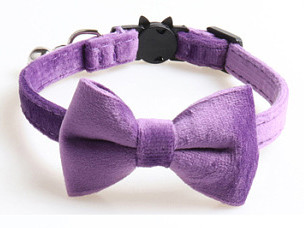 Ασφαλής ελαστικό παπιγιόν κολάρο γάτας με ρυθμιζόμενη πόρπη Gatos παπιγιόν μικρού σκύλου από μαλακό βελούδο Προμηθευτής κατοικίδιων ζώων με καμπάνα στερεό