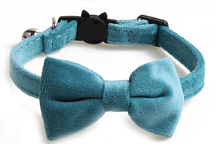 Ασφαλής ελαστικό παπιγιόν κολάρο γάτας με ρυθμιζόμενη πόρπη Gatos παπιγιόν μικρού σκύλου από μαλακό βελούδο Προμηθευτής κατοικίδιων ζώων με καμπάνα στερεό