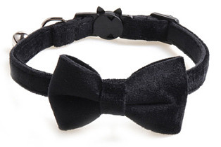 Ασφαλής ελαστικό παπιγιόν κολάρο γάτας με ρυθμιζόμενη πόρπη Gatos παπιγιόν μικρού σκύλου από μαλακό βελούδο Προμηθευτής κατοικίδιων ζώων με καμπάνα στερεό