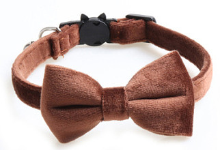 Ασφαλής ελαστικό παπιγιόν κολάρο γάτας με ρυθμιζόμενη πόρπη Gatos παπιγιόν μικρού σκύλου από μαλακό βελούδο Προμηθευτής κατοικίδιων ζώων με καμπάνα στερεό