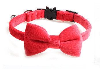 Ασφαλής ελαστικό παπιγιόν κολάρο γάτας με ρυθμιζόμενη πόρπη Gatos παπιγιόν μικρού σκύλου από μαλακό βελούδο Προμηθευτής κατοικίδιων ζώων με καμπάνα στερεό