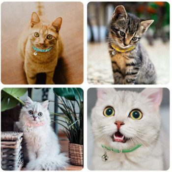 Κολάρο γάτας Ρυθμιζόμενο Μαλακό Γνήσιο Δερμάτινο Περιλαίμιο κατοικίδιων για Γάτες Κουτάβι Γατάκι Μικρά σκυλιά Αξεσουάρ κατοικίδιων Γιακά Γάτας με Κουδούνι