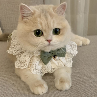 Guler de câine din mătase cu bijuterii, nuntă, pisică, cățeluș, panglică, eșarfă, pandantiv, funde pentru animale de companie, colier din satin, accesorii noi pentru pisoi, papion cadou