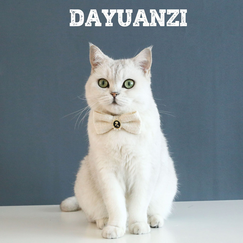 MPK Cat Woven καρό Vintage μαργαριταρένιο γιακά ρυθμιζόμενο κατά της ασφυξίας Φιόγκος γενεθλίων Princess Κατάλληλο και με σκύλο