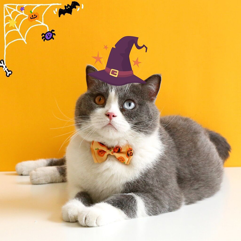 Happy Halloween κολάρο γάτας με παπιγιόν με καμπάνα κολιέ κουτάβι γατάκι Ρυθμιζόμενο λουράκι ασφαλείας με αγκράφα Τσιουάουα Προμήθειες για κατοικίδια παπιγιόν