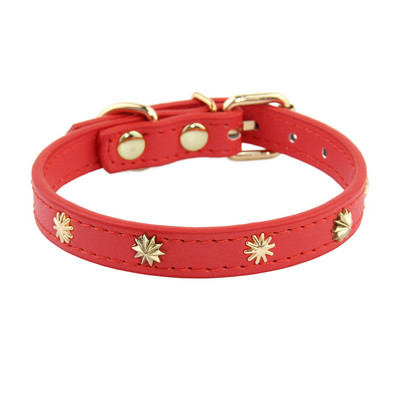 Σχεδιαστές Δερμάτινο κολάρο γάτας Χρυσό κολιέ γατάκι για γάτες Μικρό σκύλο Αξεσουάρ κουταβιών Προμήθειες για κατοικίδια Τσιουάουα Πλάτος 1,3 εκ.