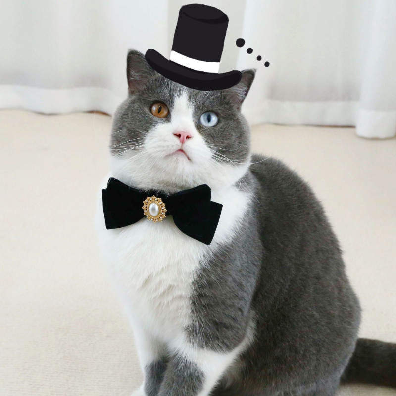 Κολιέ με φιόγκο γατούλας για σκύλους γάτες Vintage κολάρο γάτας Velvet pearl Ρυθμιζόμενο κατά του πνιγμού κολιέ κουταβιών Αξεσουάρ για πάρτι για κατοικίδια