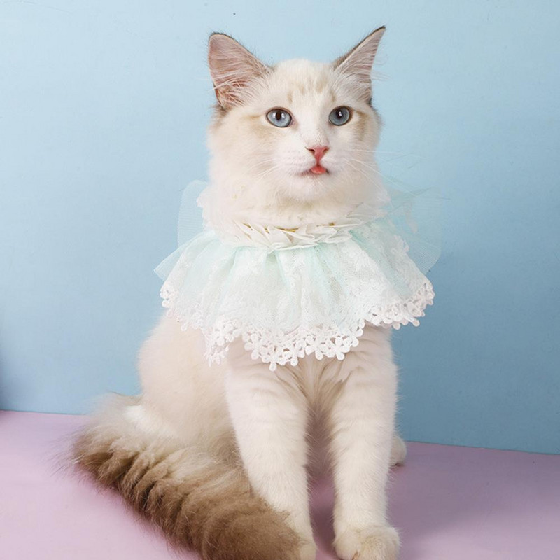 Articole pentru animale de companie Guler pentru pisici cu dantelă cu clopot Bandana din dantelă pentru pisici Accesorii pentru animale de companie Guler pentru câini Chihuahua