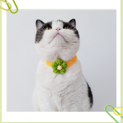 Κατοικίδια ζώα, σκύλοι, σαλιάρες, γάτες, περιλαίμια, χειροποίητα αθόρυβα πλεκτά κεράσι Χαριτωμένα ρυθμιζόμενα εξατομικευμένα αξεσουάρ με κορδόνια