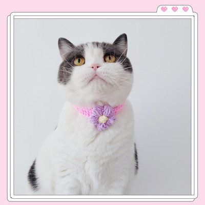 Κατοικίδια ζώα, σκύλοι, σαλιάρες, γάτες, περιλαίμια, χειροποίητα αθόρυβα πλεκτά κεράσι Χαριτωμένα ρυθμιζόμενα εξατομικευμένα αξεσουάρ με κορδόνια