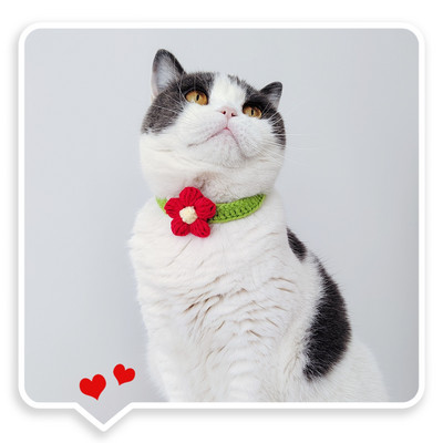 Κατοικίδια ζώα, σκύλοι, σαλιάρες, γάτες, περιλαίμια, χειροποίητα αθόρυβα πλεκτά κεράσι Χαριτωμένα ρυθμιζόμενα εξατομικευμένα αξεσουάρ με κορδόνια