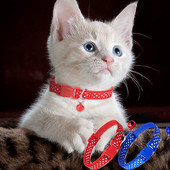 Κινούμενα σχέδια προσωπικότητας με κολάρο κατοικίδιων πουά Χρώμα για γατάκι και κουτάβι Ρυθμιζόμενο κολιέ με καμπάνα Αξεσουάρ για κατοικίδια