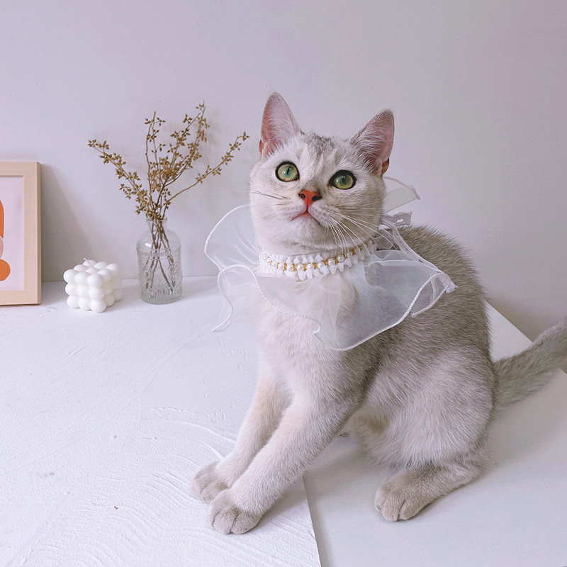 Τσόχινο γούρι Μαργαριτάρι γάτα Κολιέ Μπαντάνα Κοσμήματα Οργάντζα για κατοικίδιο για σκύλους Τσόκερ Κασκόλ Δαντέλα Floral Kiiten Σαλιάρα παπιγιόν για όλες τις ράτσες