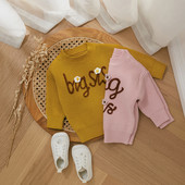 Φθινοπωρινό Νέο Μωρό Αγόρια Κοριτσίστικα Πλεκτά Παιδικά Πλεκτά Φόρεμα Λουλούδι Κέντημα Επιστολή Μακρυμάνικο Πλεκτό Πουλόβερ για Παιδιά