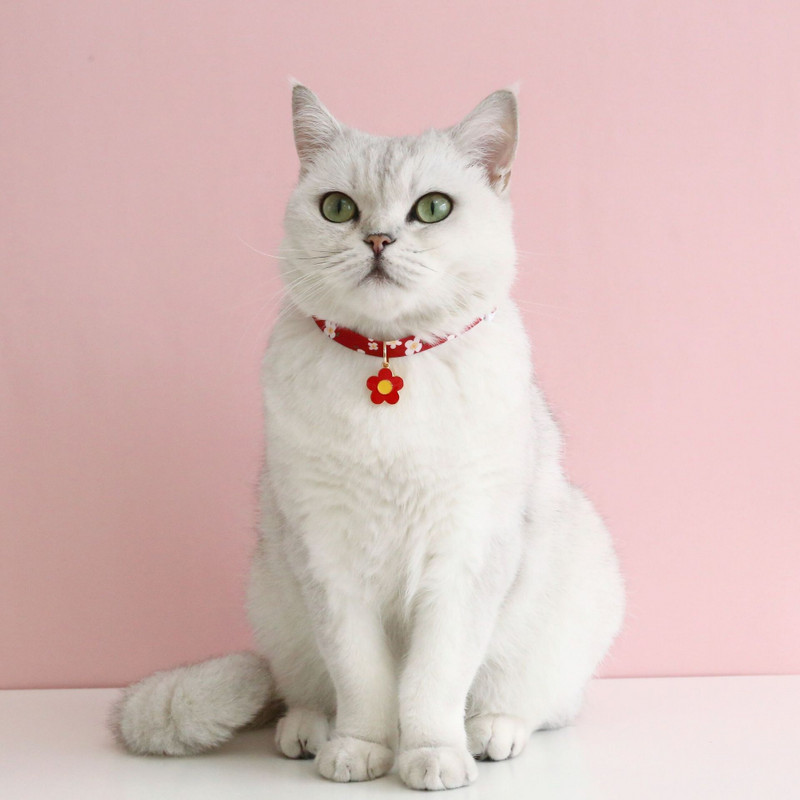 Guler reglabil pentru pisici Guler cu flori proaspete pentru animale de companie cu clopot și pandantiv cu flori pentru a preveni pierderea pisicilor și cățeilor Accesorii pentru animale de companie