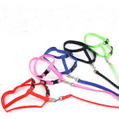 Kassi rakmed ja jalutusrihma komplekt, reguleeritav nailonist kassi kaelarihm, teetass Koera kassipoegade rakmed Vest jalutusrihm Juhtmed lemmikloomatooted