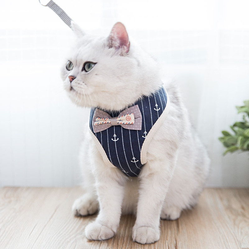 Drăguț câine, pisică, set de ham și lesă, plasă de nailon, ham pentru cățeluș, guler pentru pisici, haine, vestă pentru pisici mici, pisicuțe, articole pentru animale de companie