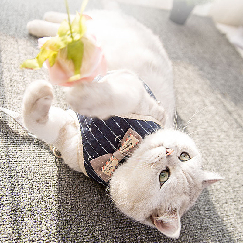 Drăguț câine, pisică, set de ham și lesă, plasă de nailon, ham pentru cățeluș, guler pentru pisici, haine, vestă pentru pisici mici, pisicuțe, articole pentru animale de companie