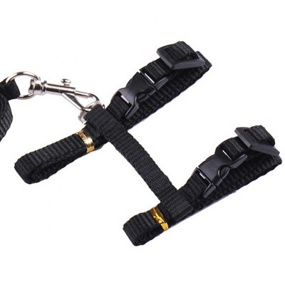 Εργαλείο ζώνης έλξης με λουρί με μαλακά λουριά, προπόνηση περπατήματος για κατοικίδια