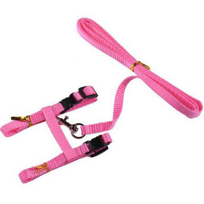 Εργαλείο ζώνης έλξης με λουρί με μαλακά λουριά, προπόνηση περπατήματος για κατοικίδια