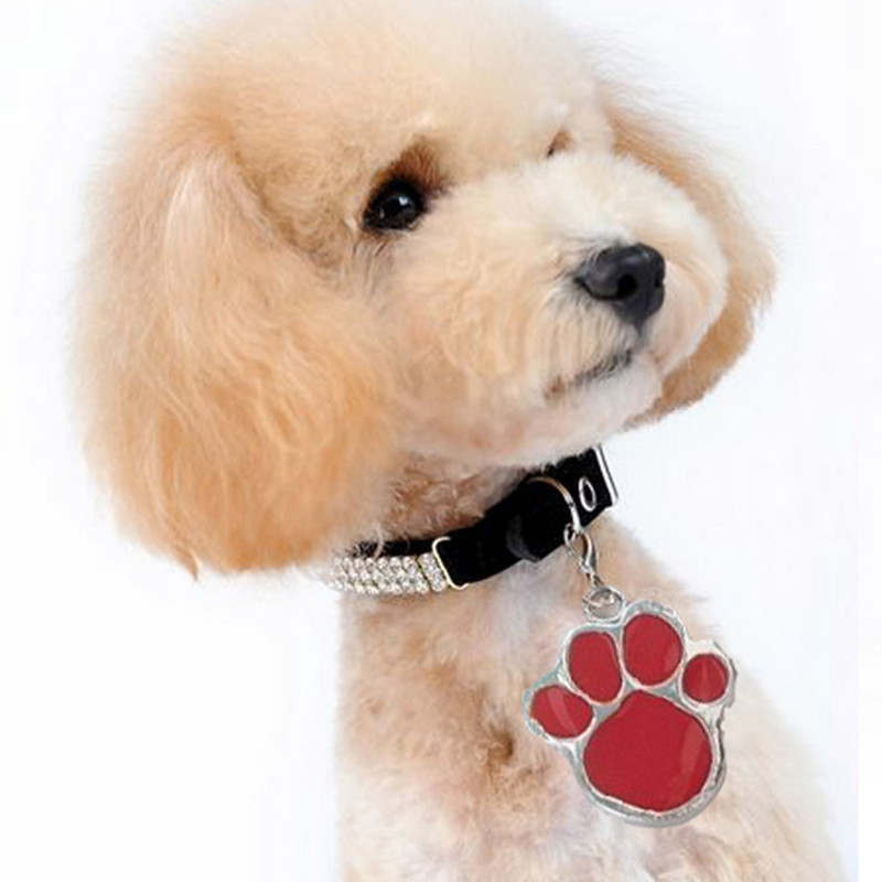 Нашийник Pet Paw Dog Puppy Cat Anti-Lost ID Name Tags Висулка Charm Аксесоари