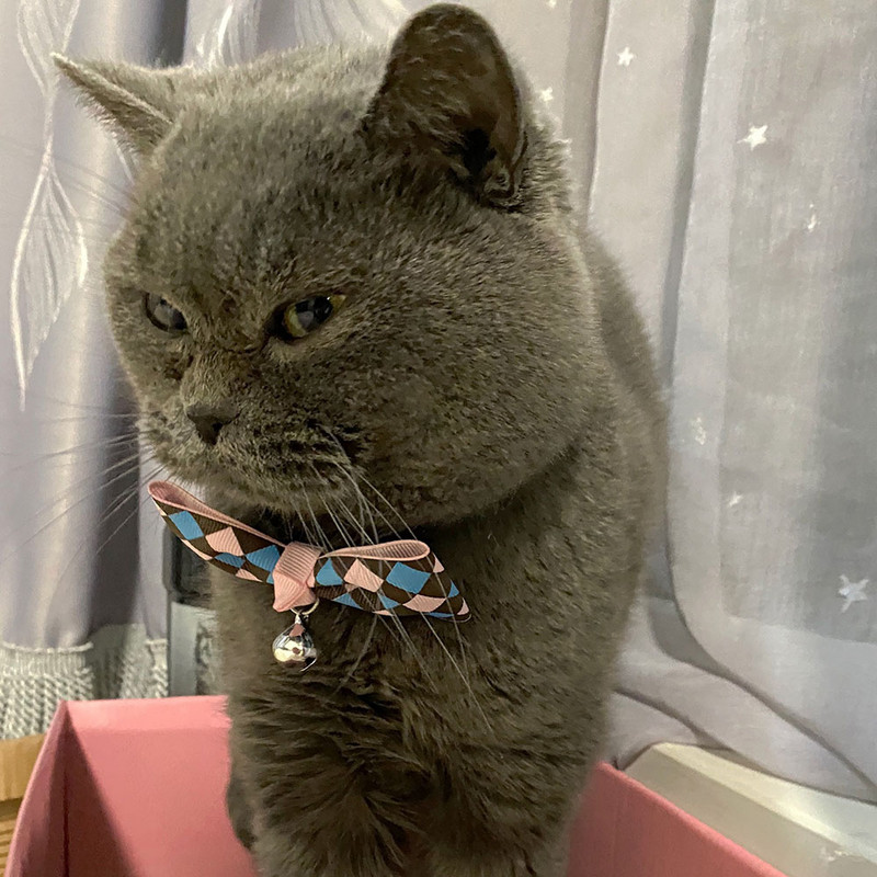 Αξεσουάρ γάτας Φιόγκος με λουράκι με παπιγιόν για γάτα για παπιγιόν με καμπάνα για γάτα για μικρόσωμο σκύλο για κουτάβια κατοικίδια προϊόντα περιποίησης