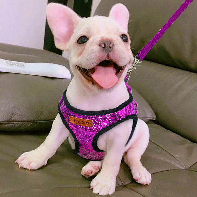 Set de ham și lesă pentru pisici cu paiete glisante, ham reglabil pentru cățeluș, pisicuță, hamuri de mers, centură de tracțiune pentru câini de talie mică, pisici