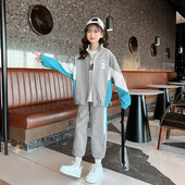 Mergaičių megztinis su užtrauktuku su užtrauktuku su užtrauktuku + sportinės kelnės, vaikiškas sportinis kostiumas, 2 dalių apranga, mokinių bėgimo kelnių rinkiniai 3–14 m.