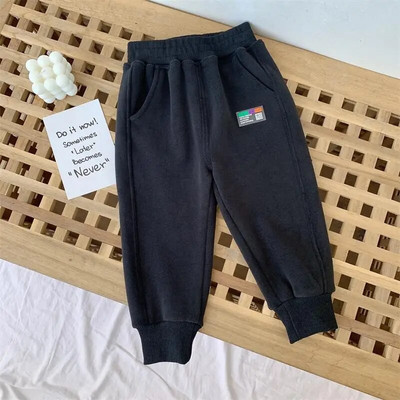 Laste plüüsist paksendatud püksid poiste ja tüdrukute vabaaja püksid, beebi ühes tükis fliis fliis soojad dressipüksid sügis ja talv