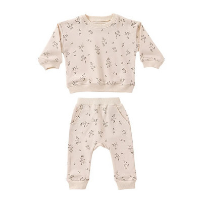 6-36M Nou-Născut Copil Bebeluși Băieți Fete Set haine cu mâneci lungi Pulover Top costum pantalon Bumbac Imprimat Tinuta Bebeluş 2buc Hanorac