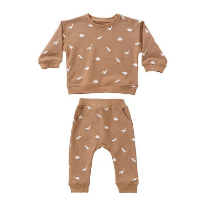 6-36M Nou-Născut Copil Bebeluși Băieți Fete Set haine cu mâneci lungi Pulover Top costum pantalon Bumbac Imprimat Tinuta Bebeluş 2buc Hanorac