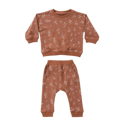 6-36M Nou-Născut Copil Bebeluși Băieți Fete Set haine cu mâneci lungi Pulover Top costum pantalon Bumbac Imprimat Tinuta Bebeluş 2buc Hanorac