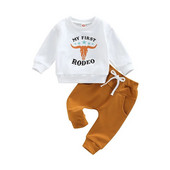 Bebeluși Fetițe Băieți Ținută 2 bucăți Literă Cap de vite Imprimat Gât rotund cu mânecă lungă Hanorace Topuri + Set pantaloni lungi de culoare uni