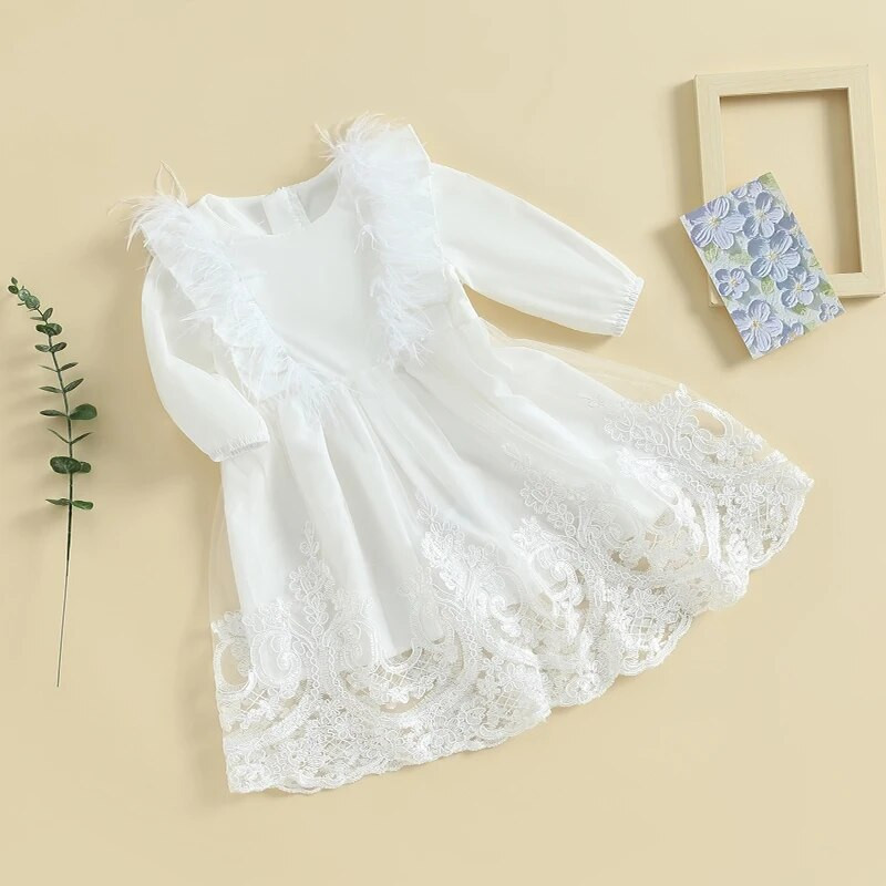 BeQeuewll Детска ежедневна рокля за момичета за есента Рокля с дълги ръкави с кръгло деколте и пера от пачуърк Есенна рокля за 9-36 месеца