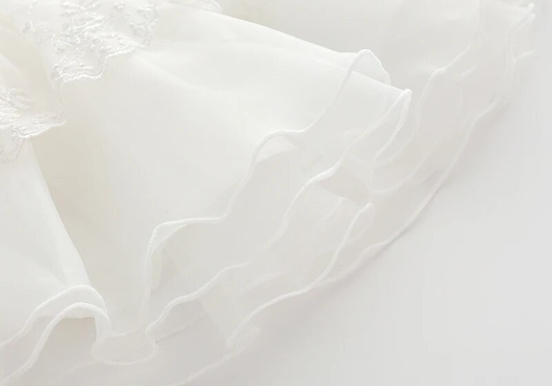 Γάζα δαντέλας Κέντημα Νεογέννητο Βρεφικό Φόρεμα Άνοιξη Φθινόπωρο Μακρυμάνικο Πάρτυ Πριγκίπισσα Κοριτσίστικα Φορέματα Ρούχα