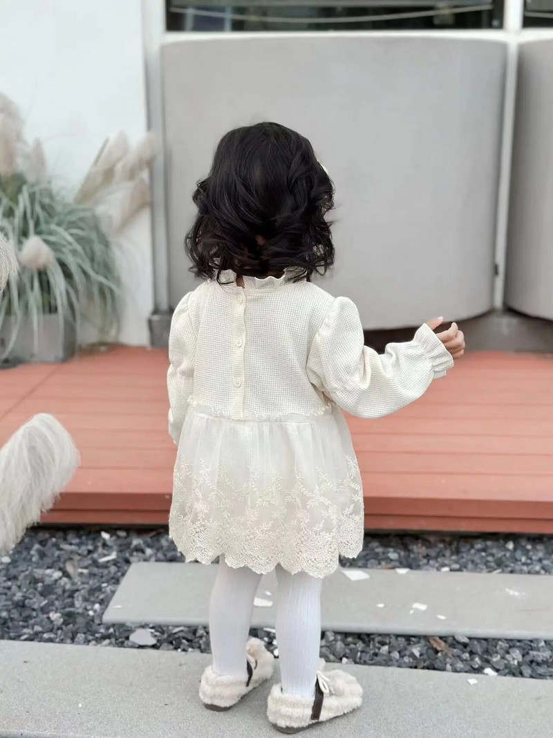 Άνοιξη Φθινόπωρο Μόδα Κορίτσι Μωρό Δαντέλα Κέντημα Λουλούδι Μακρυμάνικο Πριγκίπισσα Φόρεμα Νεογέννητο Βαμβακερό Μασίφ φόρεμα για πάρτι