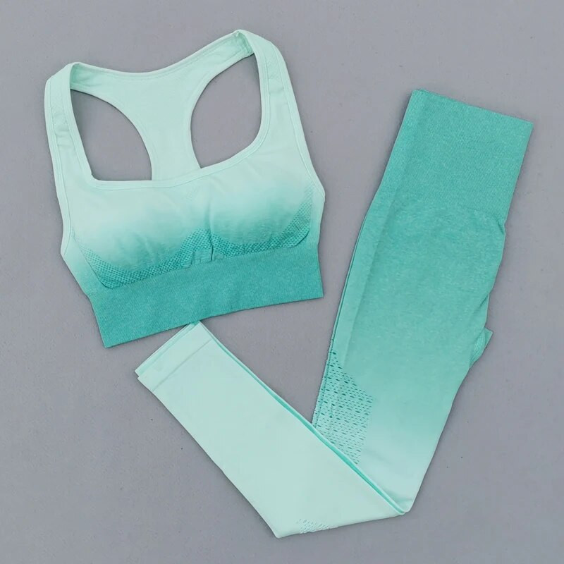 Ombre bešavni komplet za teretanu Žensko sportsko odijelo Ženska sportska odjeća Tajice za fitnes Podstavljeni sportski grudnjak 2-dijelni setovi za jogu Odjeća za vježbanje