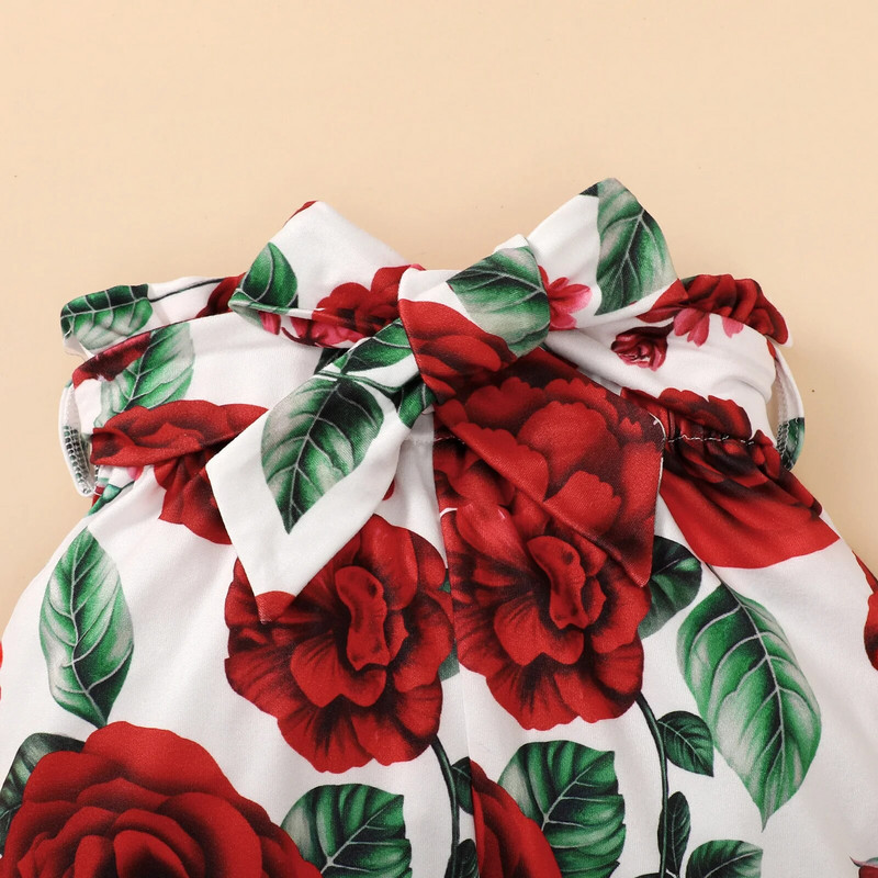 Beebi tüdrukute riidekomplekt Vastsündinu riided 0 3 kuud Beebi riided Tüdrukule Sügis Väikelapse Tüdrukule Sügisrõivad Beebitüdrukute rõivad