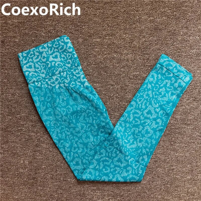 Leopard sportski grudnjak Ženski bešavni set za jogu Kratka majica bez rukava Tajice visokog struka za fitness Odijelo za vježbanje Odjeća za teretanu